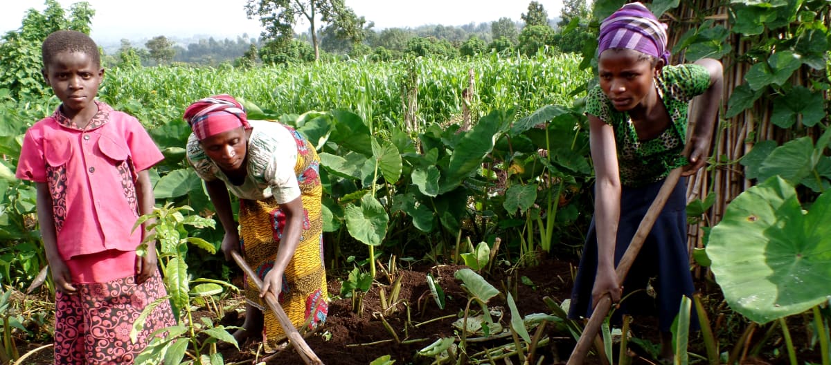 Produrre il proprio cibo a Virunga