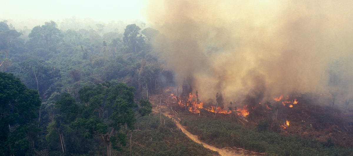 Incendio nell’ Amazzonia