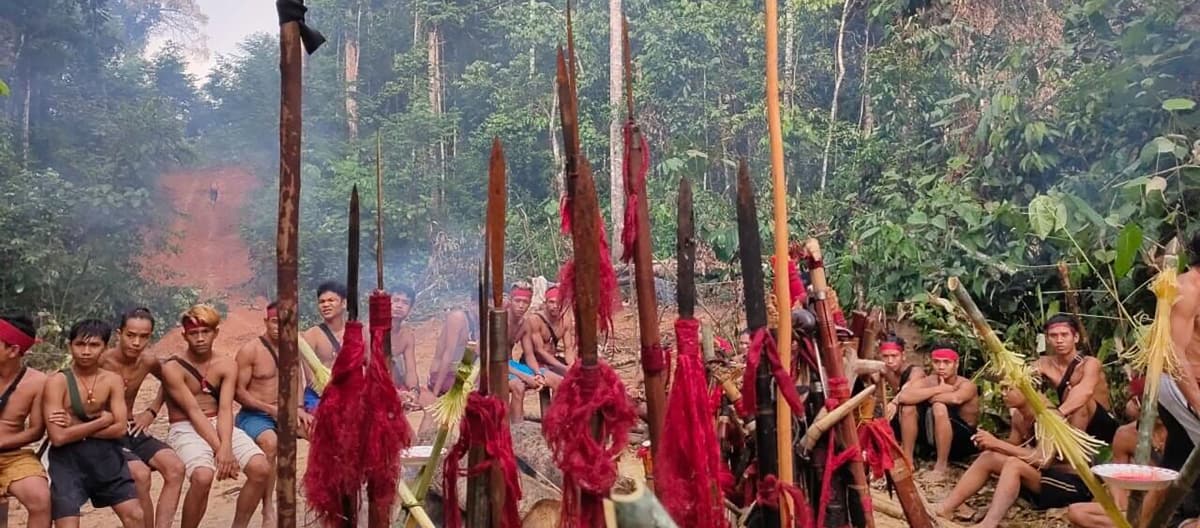 Gli indigeni Dayak Tomun protestano contro la distruzione della loro foresta da parte dell'azienda produttrice di olio di palma SML a Kinipan