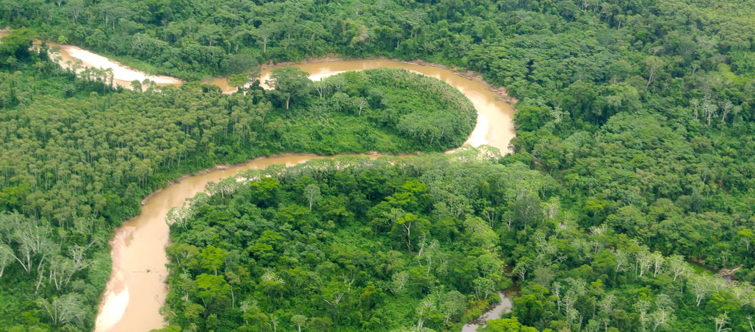 Veduta aerea dell'Amazzonia peruviana