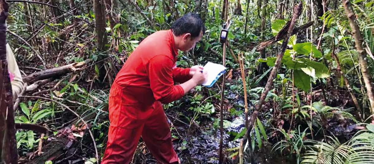 Matek nel processo di mappatura in una foresta di torbiera