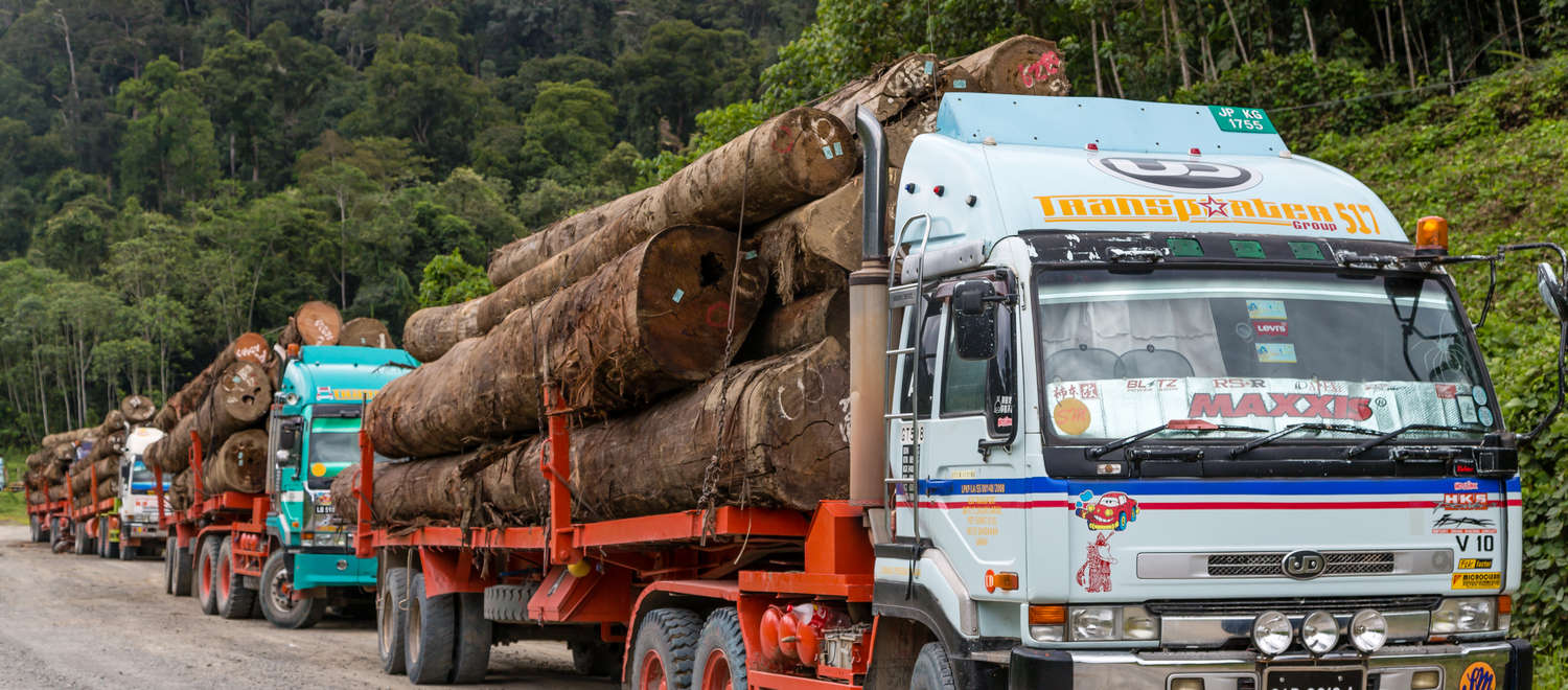 Camion trasportano tronchi di legno tropicale nel distretto di Tawau a Sabah, Indonesia