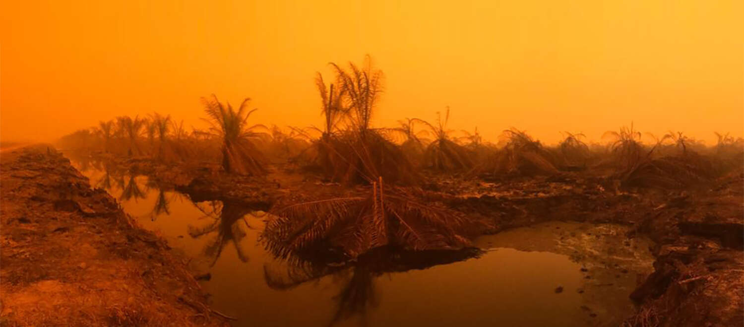 Incendio della comunità di Puding, distretto di Muaro Jambi, Sumatra, settembre 2019