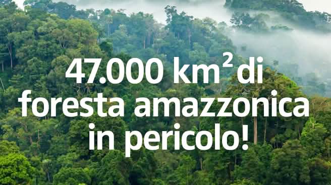 La foresta amazzonica è in pericolo 47.000 km² di foresta amazzonica in pericolo !