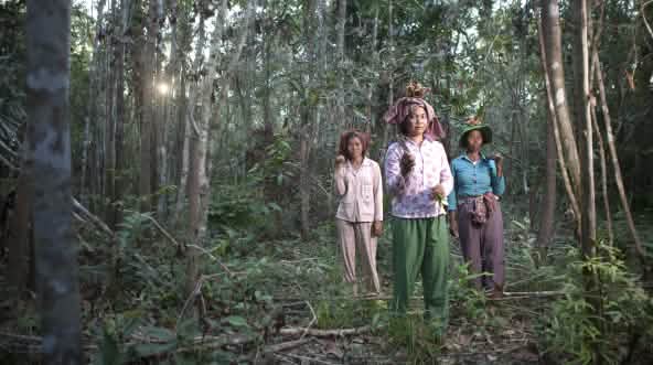 Tre donne indigene in difesa della foresta