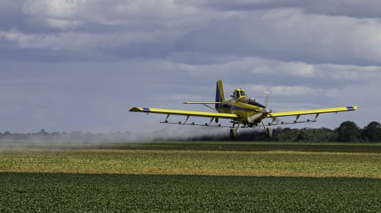Un aereo a elica irrora dall'alto un campo di soia con pesticidi.
