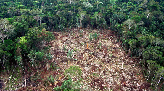 Deforestazione in Brasile