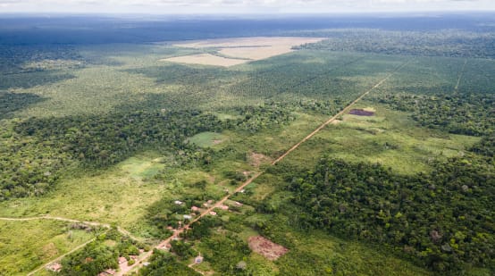 Veduta aerea di una piccola comunità lungo una strada rettilinea, sullo sfondo le piantagioni di palma da olio avanzano e riducono la foresta pluviale.