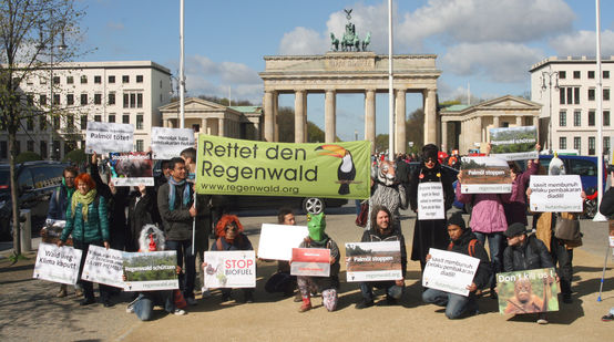 Manifestanti di Salviamo la Foresta davanti alla porta di Brandeburgo