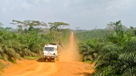 Un camion attraversa una piantagione di palma da olio in Liberia