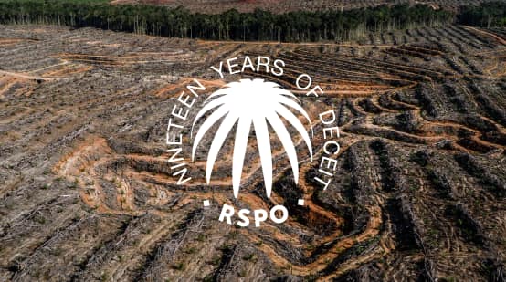 Collage con il sigillo RSPO su un'area di foresta pluviale deforestata: da qui si evince come i consumatori sono stati ingannati per 19 anni.