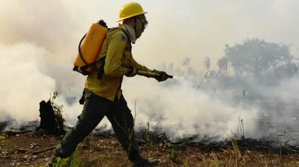 Le pompe a zaino dorsali sono indispensabili per lottare contro gli incendi nelle vaste aree di foresta tropicale di difficile accesso
