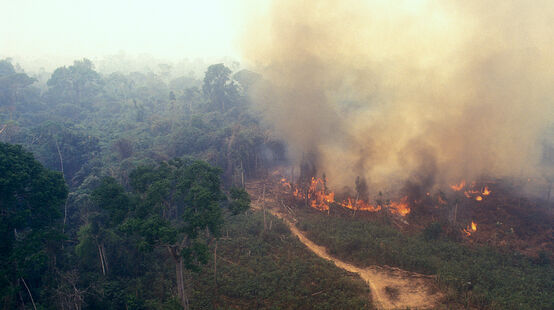 Incendio nell’ Amazzonia