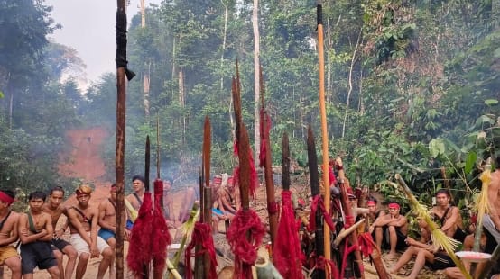 Gli indigeni Dayak Tomun protestano contro la distruzione della loro foresta da parte dell'azienda produttrice di olio di palma SML a Kinipan
