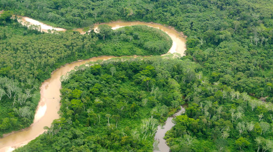 Veduta aerea dell'Amazzonia peruviana