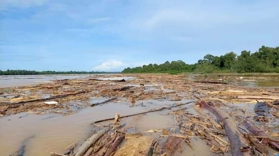 La deforestazione intasa un fiume con tronchi d'albero
