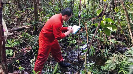 Matek nel processo di mappatura in una foresta di torbiera