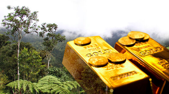 Fotomontaggio: Oro e foresta tropicale