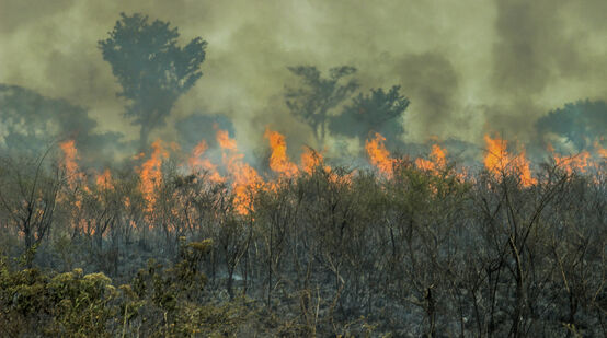 Incendi nell'Amazzonia brasiliana