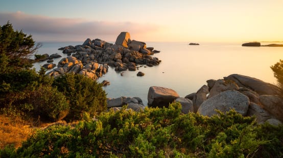 Foresta sempreverde in Sardegna, Italia