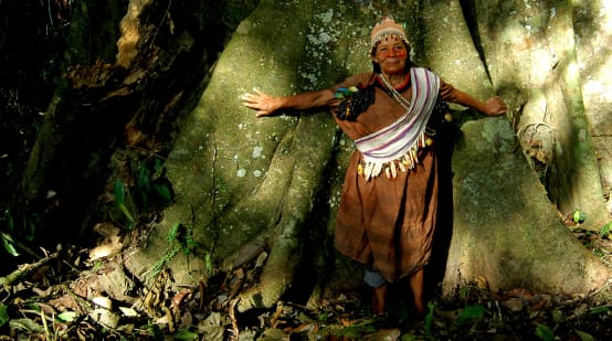 Un guardiano della foresta