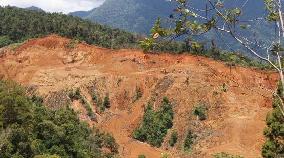 L'estrazione mineraria per la transizione energetica distrugge le foreste pluviali