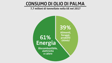 Consumo di olio di palma nella UE nel 2017
