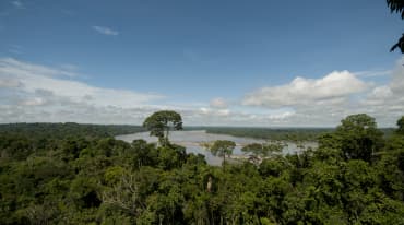 Vista dall'alto della foresta e del fiume nel Parco nazionale Yasuní.