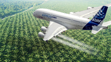 Fotomontaggio: un aereo Airbus che sorvola una piantagione di palma da olio