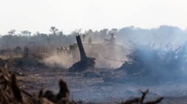 Un trattore sulla superficie della foresta bruciata