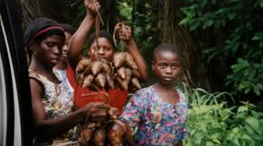 Le donne del popolo Ekuri dipendono dalla foresta