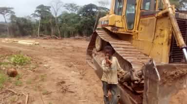 I bulldozer sono arrivati