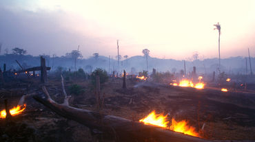 Incendio forestale in Brasile