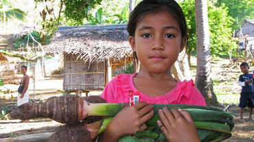 Una bambina di Palwan ha tra le braccia il Taro, un vegetale locale, e sullo sfondo si intravede il villaggio