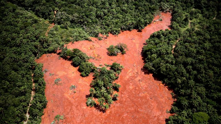 Risultato della rottura di una diga di contenimento di rifiuti minerari tossici in Brasile