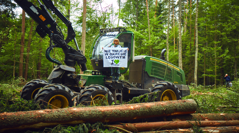 Una protesta contro il taglio della foresta Bialowieza in Polonia Una protesta contro il taglio della foresta Bialowieza in Polonia