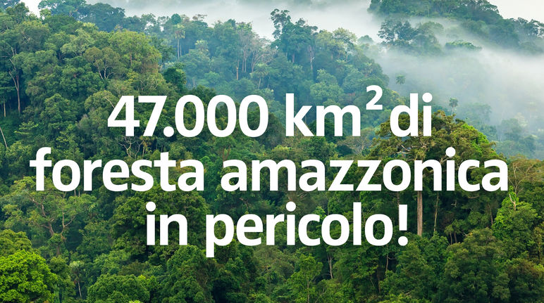 47.000 km² di foresta amazzonica in pericolo !
