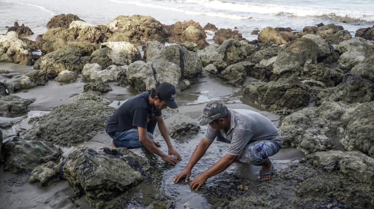 Due uomini mostrano pezzi di bitume tossico  bitume su una costa inquinata