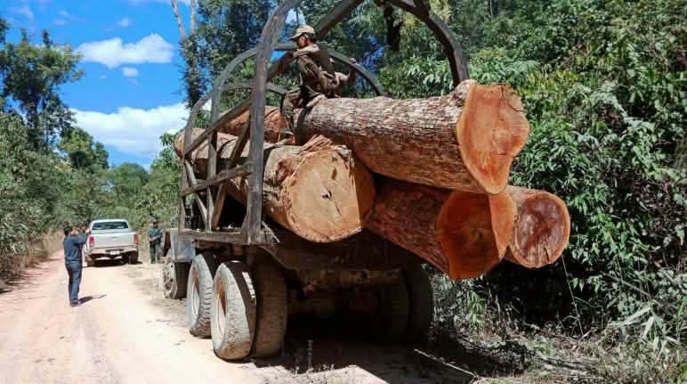 Furto di legno in Cambogia Furto di legno in Cambogia