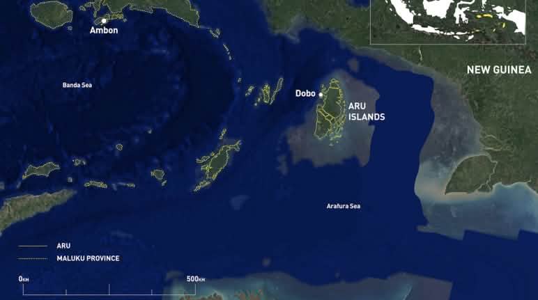 Quando avverrà l' attacco alle isole Aru? Mappa Nuova Guinea - Isole Aru - Australia da N a S