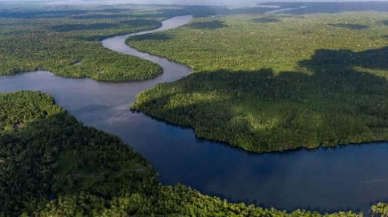 Le rotte marine separano 800 piccole isole calcaree: non c'è posto per il commercio di carbonio! Isole boscose in mezzo all'acqua