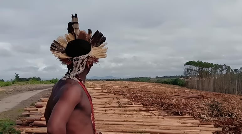 Brasile: integrante di una popolazione indigena in una piantagione di eucalipto