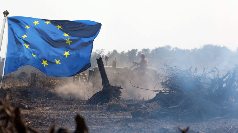 Fotomontaggio: bandiera della UE e foresta incendiata