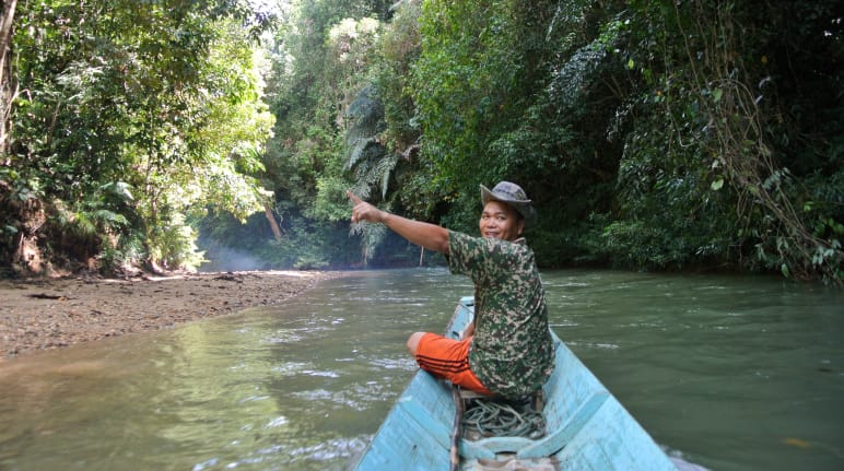 Un uomo su una barca indica la foresta pluviale di Sarawak, nel Borneo.