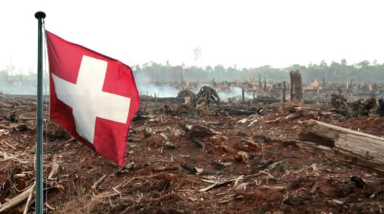 Le foreste tropicali vengono distrutte per fare spazio alle piantagioni di palma da olio. Foresta bruciata con la bandiera svizzera (fotomontaggio)