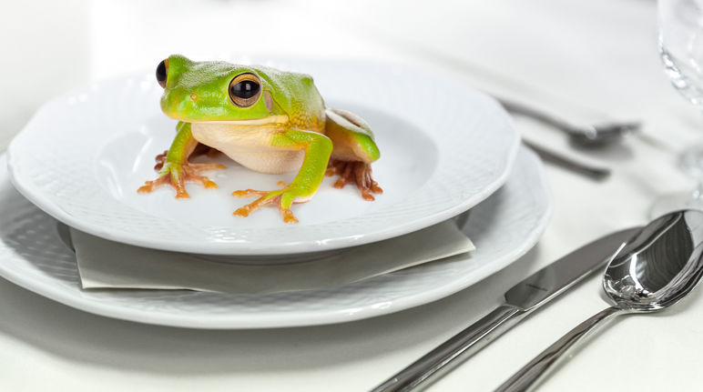 Una rana su un piatto