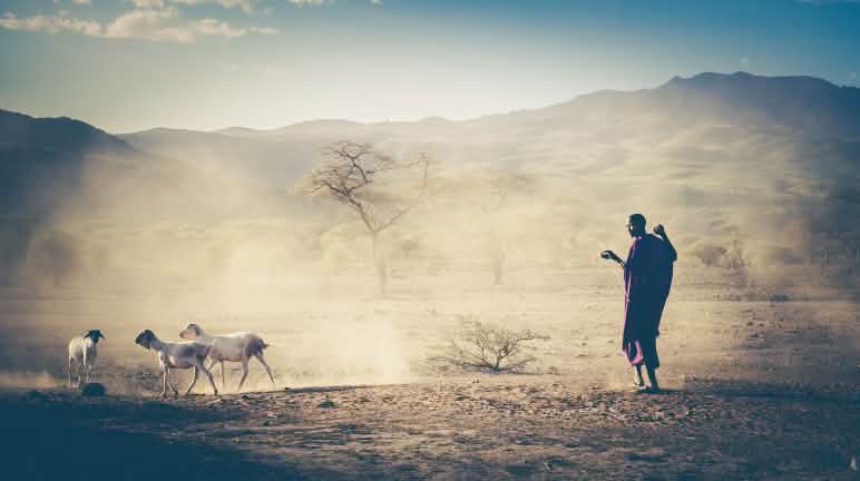 Il popolo Masai soffre da decenni per le violenze subite. Pastore del popolo Masai in Tanzania