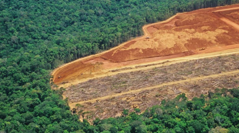 Deforestazione in Brasile