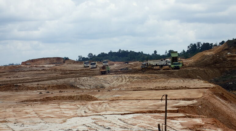 La First Resources distrugge la foresta vicino a Balikpapan Bay, la zona costiera del Borneo