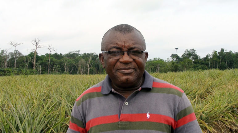 Odey Oyama in una piantagione di ananas/ananá nel Parco Nazionale di Cross River in Nigeria